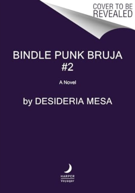 Book cover of: Bindle Punk Jefe. By: Desideria Mesa