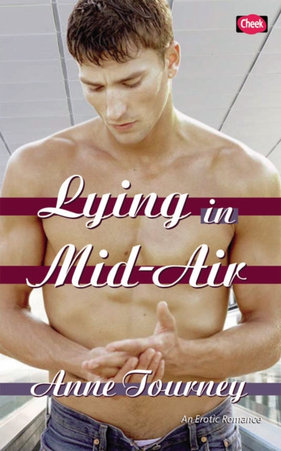 Book cover of: Lying in Mid-Air. By: Anne Tourney