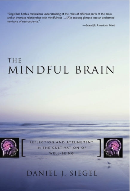 Book cover of: Mindful Brain. By: Daniel J. Siegel
