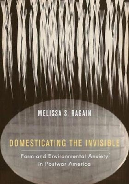 Book cover of: Domesticating the Invisible. By: Melissa S. Ragain