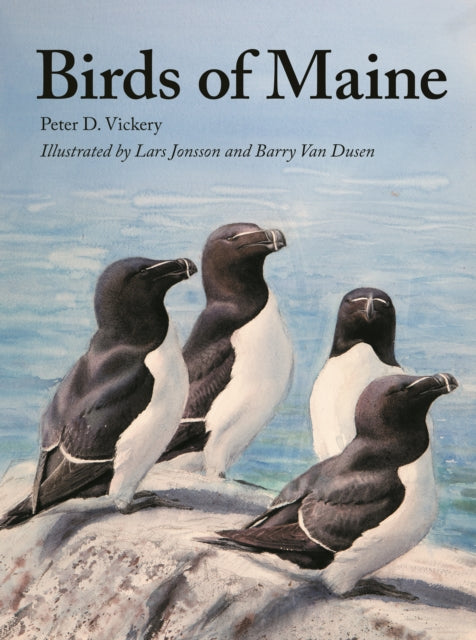 Book cover of: Birds of Maine. By: Peter Vickery