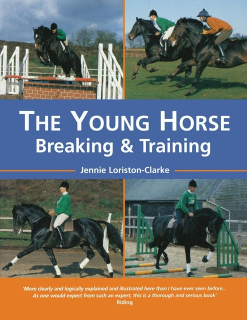 Book cover of: Young Horse. By: Jennie Loriston-Clarke