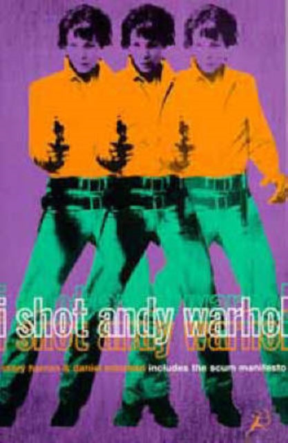 Book cover of: "I Shot Andy Warhol". By: Mary Harron