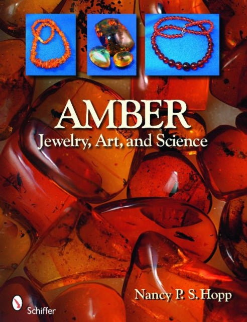 Book cover of: Amber. By: Nancy P. S. Hopp