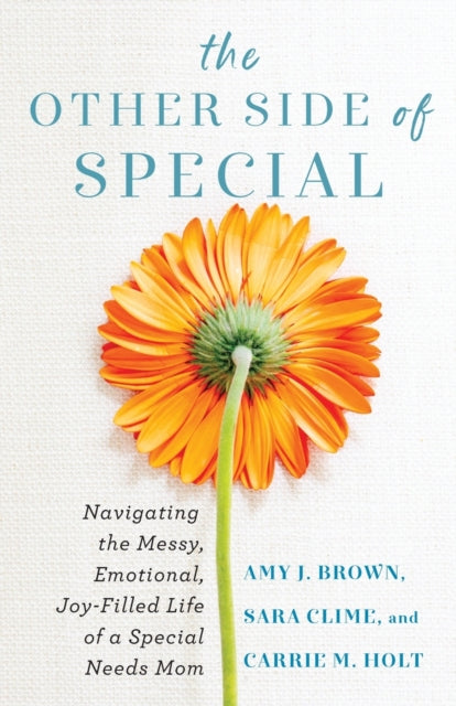 Other Side of Special ā Navigating the Messy, Emotional, JoyāFilled Life of a Special Needs Mom 9780800742119 Amy J. Brown