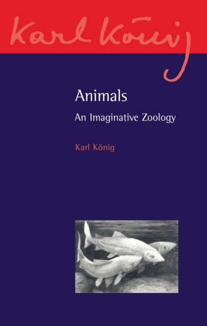 Book cover of: Animals. By: Karl König