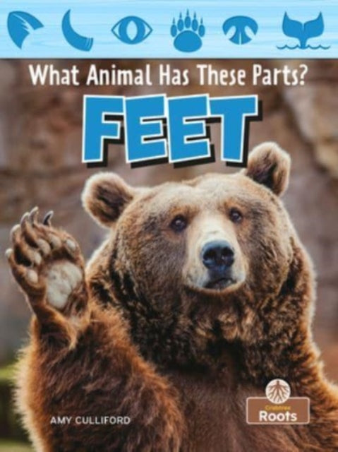 Book cover of: Feet. By: Amy Culliford