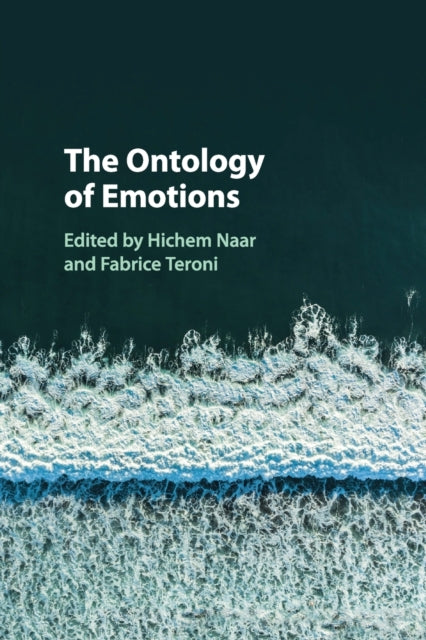 Book cover of: Ontology of Emotions. By: Hichem Naar