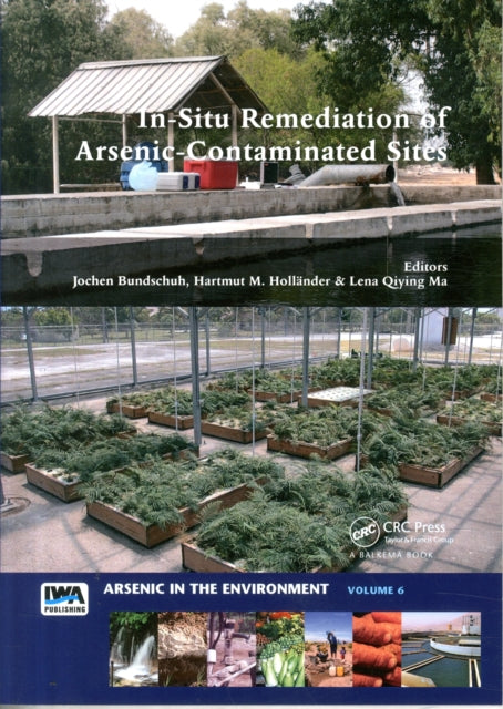 Book cover of: In-Situ Remediation of Arsenic-Contaminated Sites. By: Jochen Bundschuh