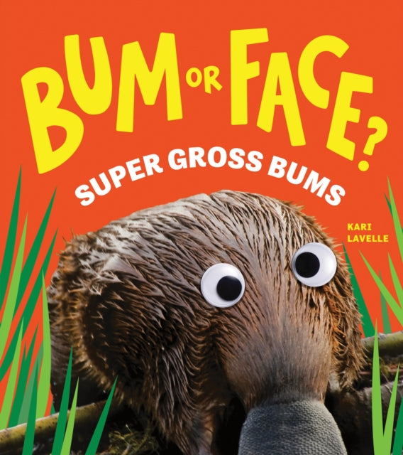 Bum or Face? Volume 3, Super Gross Bums 9781464249938 Kari Lavelle
