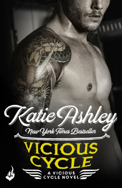 Book cover of: Vicious Cycle: Vicious Cycle 1. By: Katie Ashley
