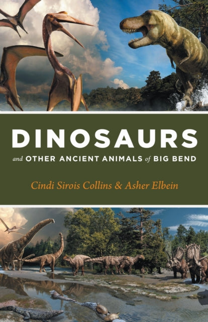 Book cover of: Dinosaurs and Other Ancient Animals of Big Bend. By: Cindi Sirois Collins
