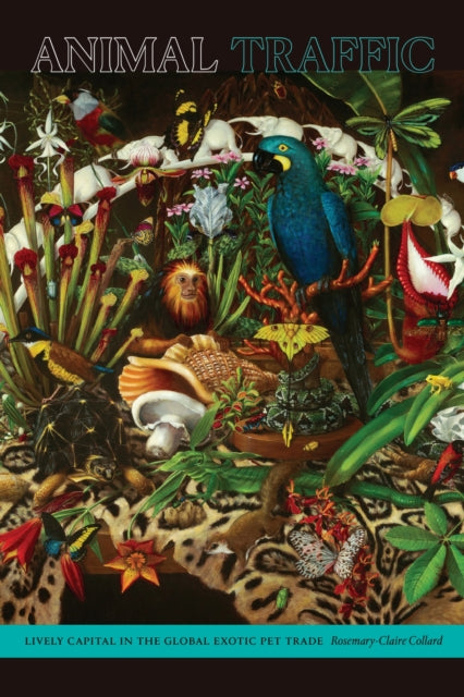 Book cover of: Animal Traffic. By: Rosemary-Claire Collard