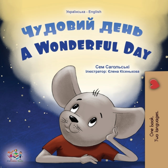 A Wonderful Day (Ukrainian English Bilingual Children's Book) 9781525966484 Sam Sagolski