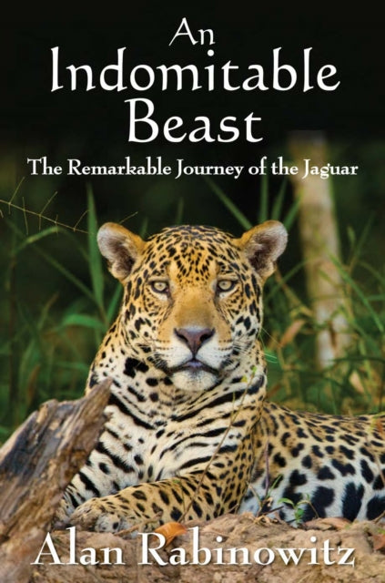 Book cover of: Indomitable Beast. By: Alan Rabinowitz