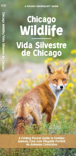Book cover of: Chicago Wildlife/Fauna de Chicago. By: Waterford Press