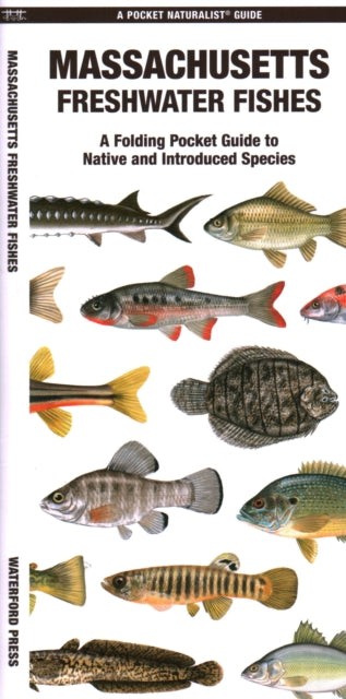 Book cover of: Massachusetts Freshwater Fishes. By: Waterford Press Staff
