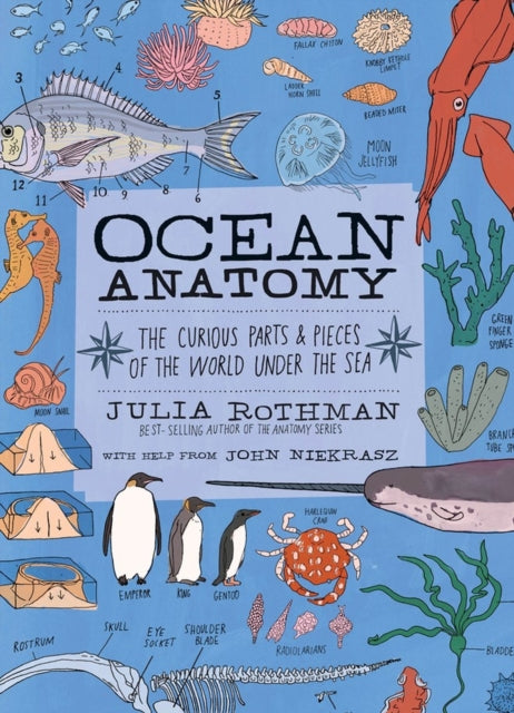 Book cover of: Ocean Anatomy. By: Julia Rothman