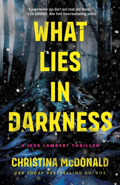 What Lies in Darkness 9781662511646 Christina McDonald