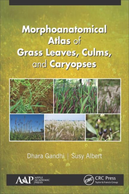 Book cover of: Morphoanatomical Atlas of Grass Leaves, Culms, and Caryopses. By: Dhara Gandhi
