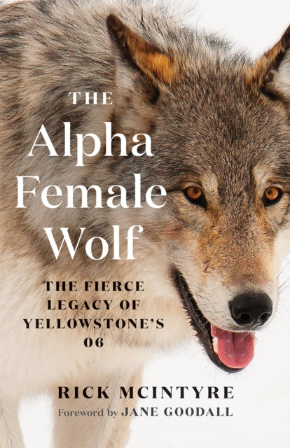 Book cover of: Alpha Female Wolf. By: Rick McIntyre