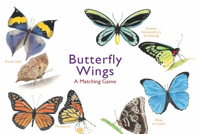 Book cover of: Butterfly Wings. By: Mike Unwin
