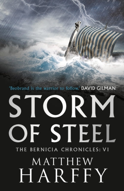Book cover of: Storm of Steel. By: Matthew Harffy
