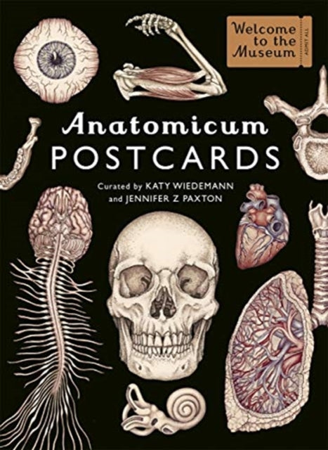 Book cover of: Anatomicum Postcard Box