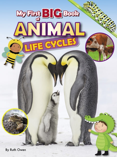 My First BIG Book of ANIMAL Life Cycles 9781788565820 Ruth Owen