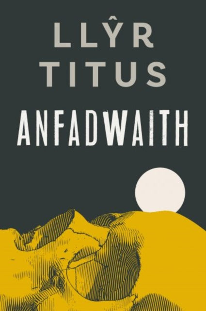 Book cover of: Anfadwaith. By: Llyr Titus