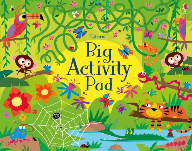 Book cover of: Big Activity Pad