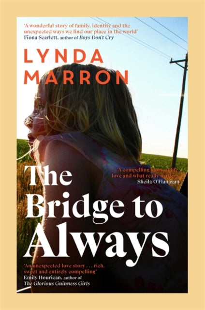 Book cover of: Bridge to Always
