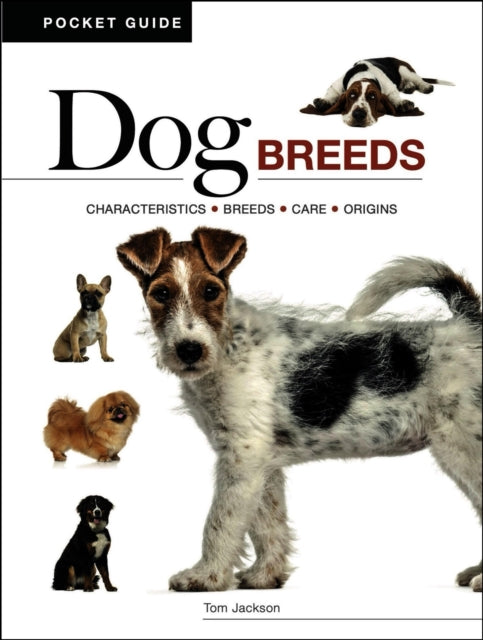 Book cover of: Dog Breeds
