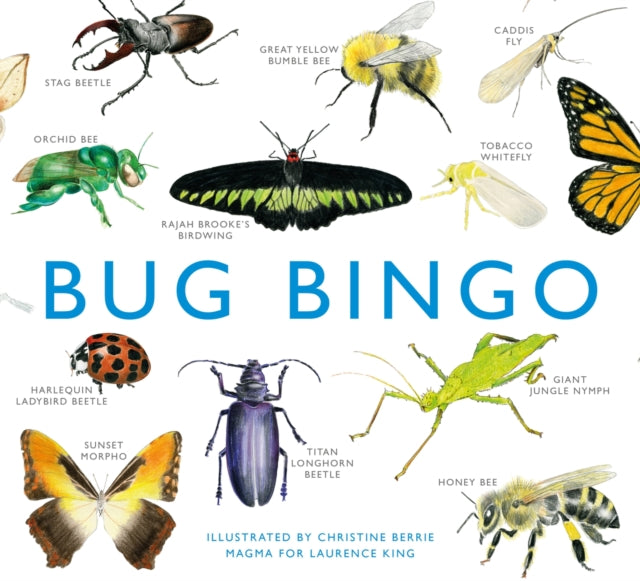 Book cover of: Bug Bingo. By: Christine Berrie