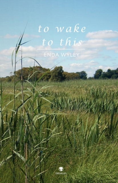 Book cover of: To Wake to This. By: Enda Wyley
