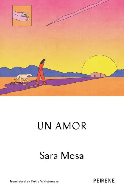 Un Amor 9781908670977 Sara Mesa