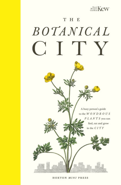 Book cover of: Botanical City. By: Helena Dove