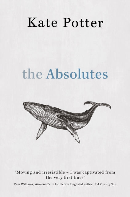 Absolutes, a profound exploration of grief told through fragments of memory 9781917163668 Kate Potter
