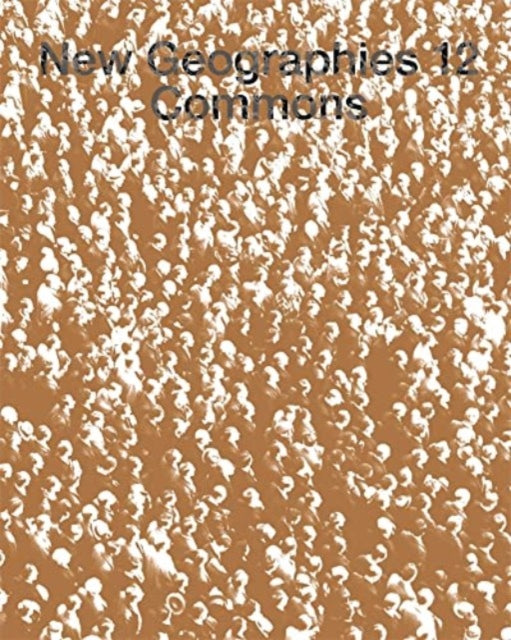 Book cover of: New Geographies, 12. By: Liang Wang