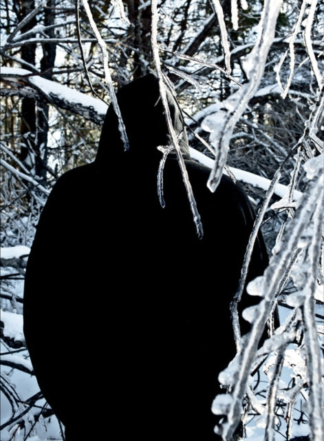 Book cover of: Gary Briechle - Maine