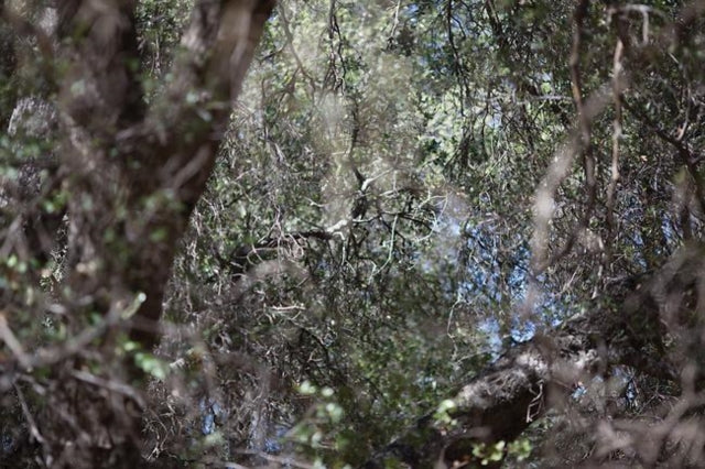 Book cover of: Crack in the World. By: Barbara Kyne