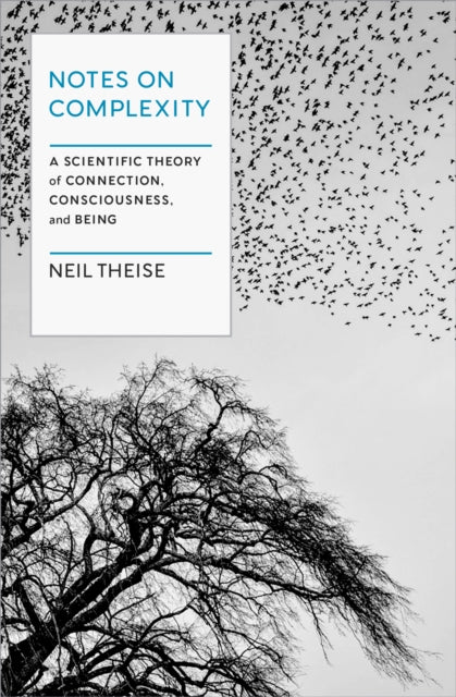 Book cover of: Notes on Complexity. By: Neil Thiese