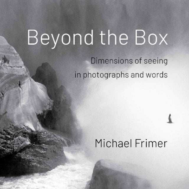 Book cover of: Beyond the Box. By: Michael Frimer