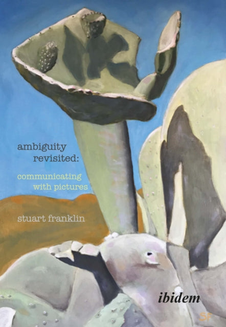 Book cover of: Ambiguity Revisited. By: Stuart Franklin