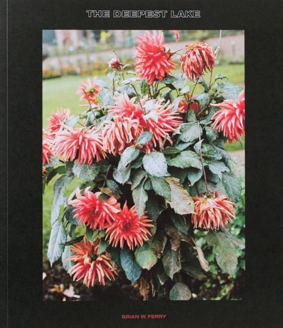 Book cover of: Deepest Lake. By: Brian W. Ferry