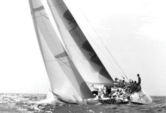 Book cover of: Andrea Vallicelli. By: Valerio Paolo Mosco