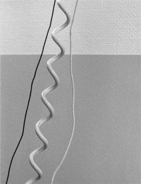 Book cover of: Anamnesis. By: Aliki Christoforou