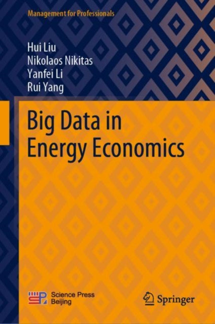 Book cover of: Big Data in Energy Economics. By: Hui Liu