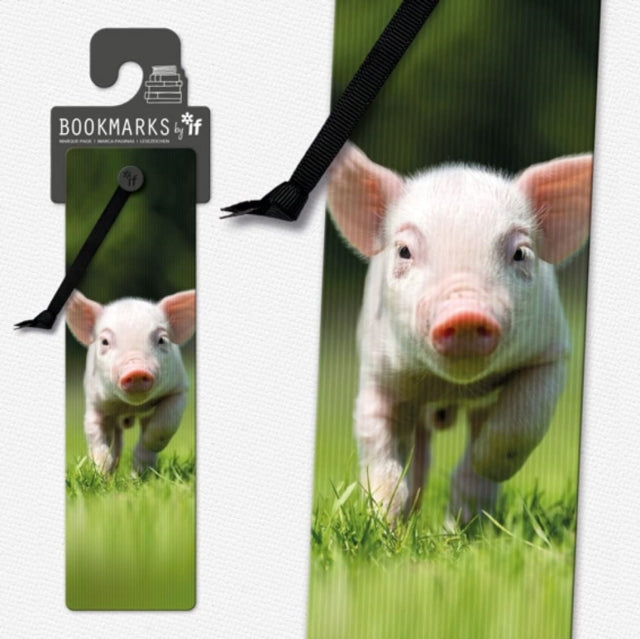 Book cover of: 3D Bookmarks - Piglet