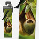 Book cover of: 3D Bookmarks - Two-Toed Sloth